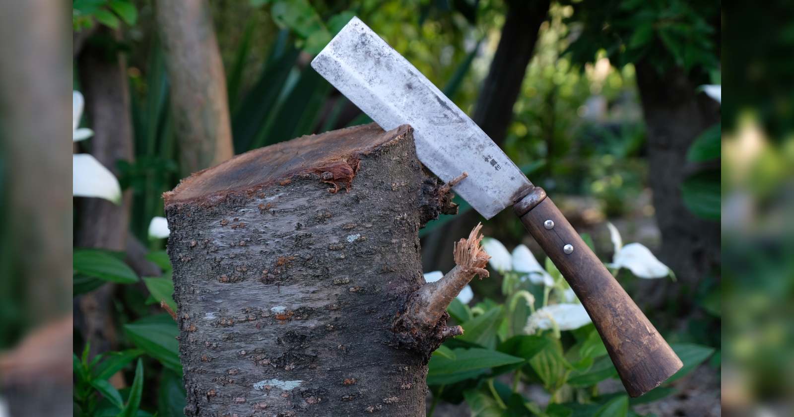 キャンプでの焚き火に欠かせないナタ選び！おすすめ10選 | キャンプ