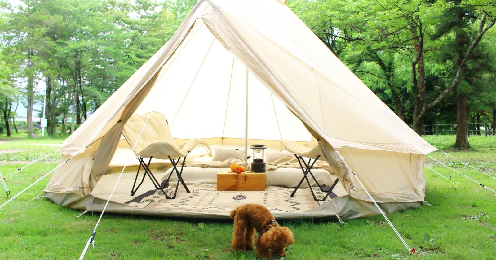 テント　タープ　公園　キャンプ　簡単組立　アウトドア　山　川　海　グランピング テント タープ 公園 キャンプ 簡単組立 アウトドア 山 川 海