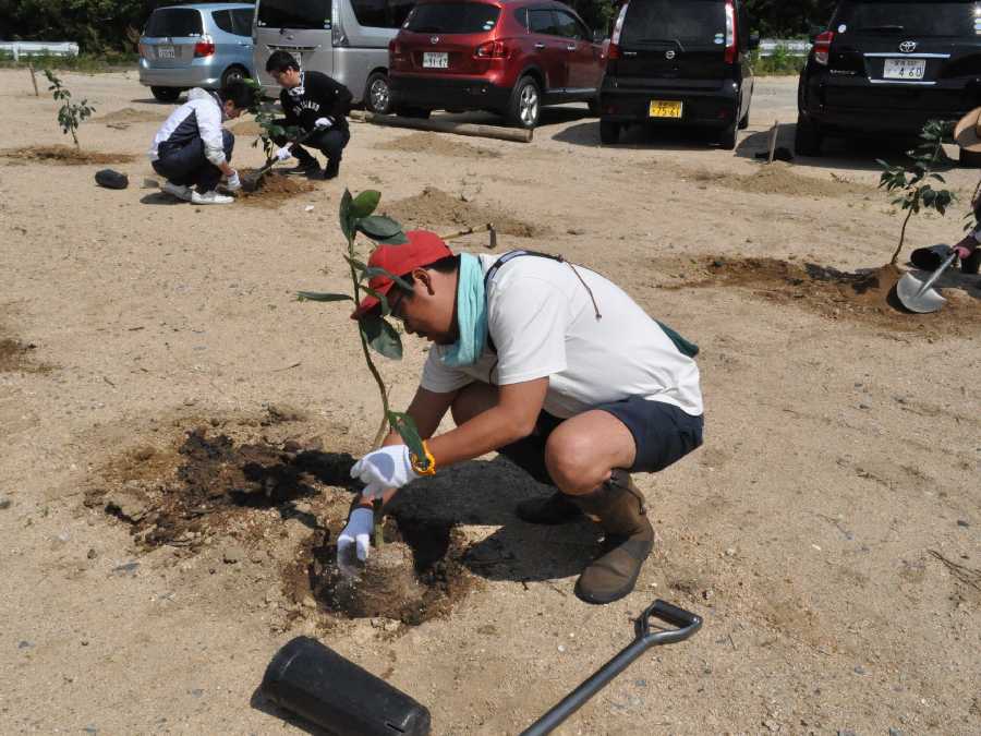 【愛媛県伯方島】アドリブワークス　ライム植樹会