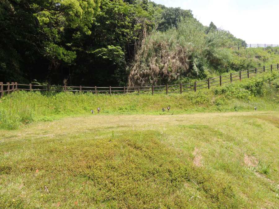 【愛媛県伯方島】船折瀬戸オートキャンプ場