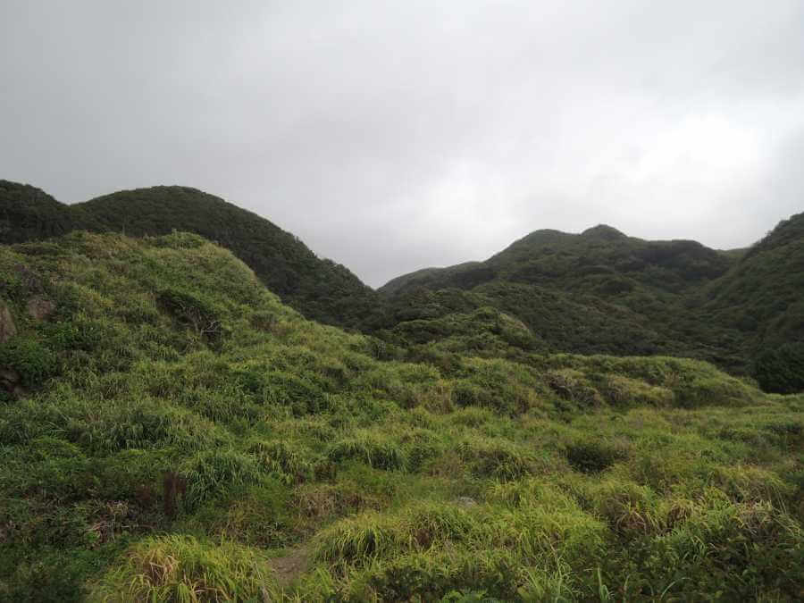 ロックフィッシュ,吉田海岸,