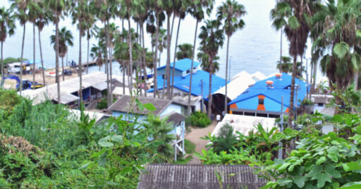 【福岡県】能古島キャンプ村をレポート!南国感あふれる福岡市内の離島にあるキャンプ場