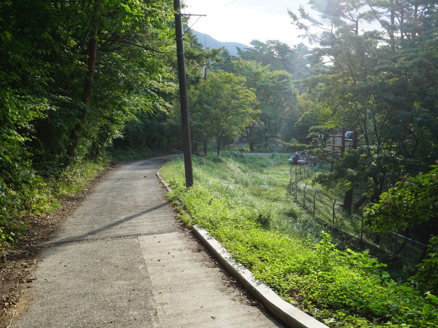 本栖湖,浩庵,浩庵キャンプ場,キャンプ場