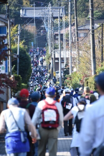 日本スリーデーズマーチ,埼玉県,東松山市,ウォーキング