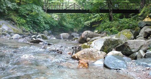【道志の森キャンプ場】キャンプの聖地と言われる道志の森キャンプ場にいざ突撃!
