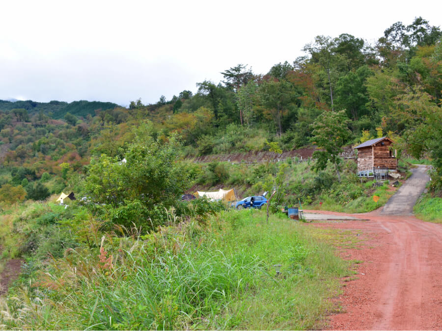 ほったらかしキャンプ場,HOTTARAKASHI CAMPING FIELD