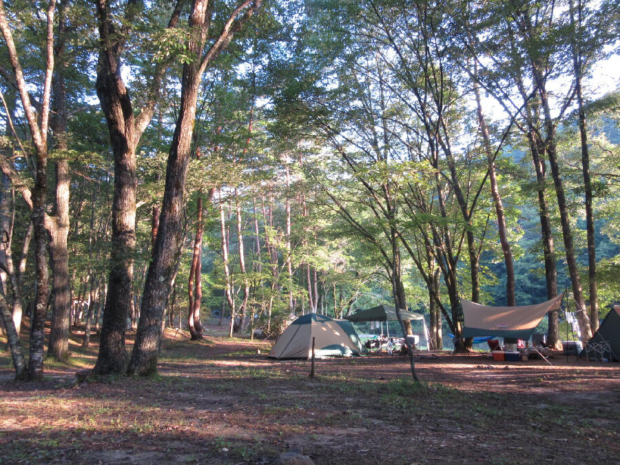 岩倉キャンプ場,売木村,iwakuracampfield,星