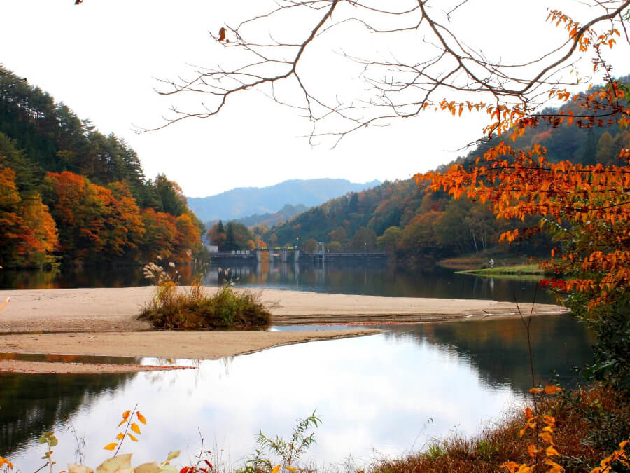 岩倉キャンプ場,売木村,iwakuracampfield,星