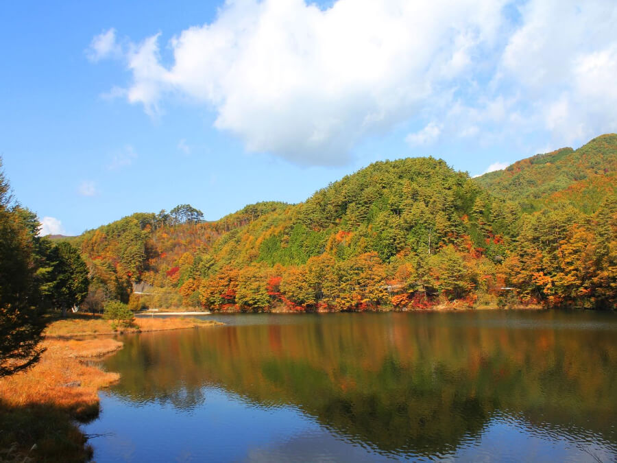 岩倉キャンプ場,売木村,iwakuracampfield,星