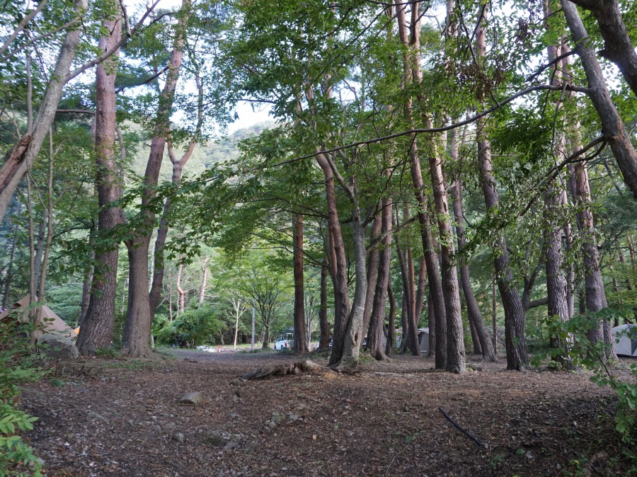 本栖湖,浩庵,浩庵キャンプ場,キャンプ場