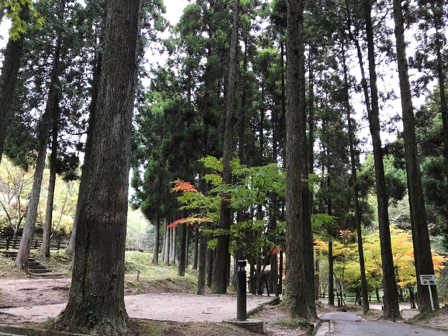 佐賀県,キャンプ場,北山キャンプ場