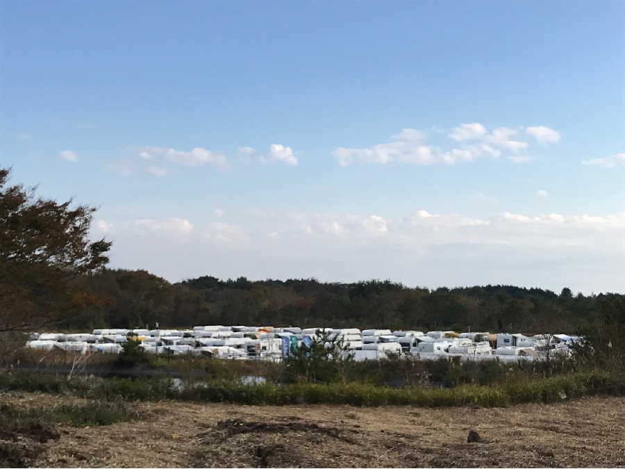 朝霧,朝霧ジャンボリーオートキャンプ場,静岡県