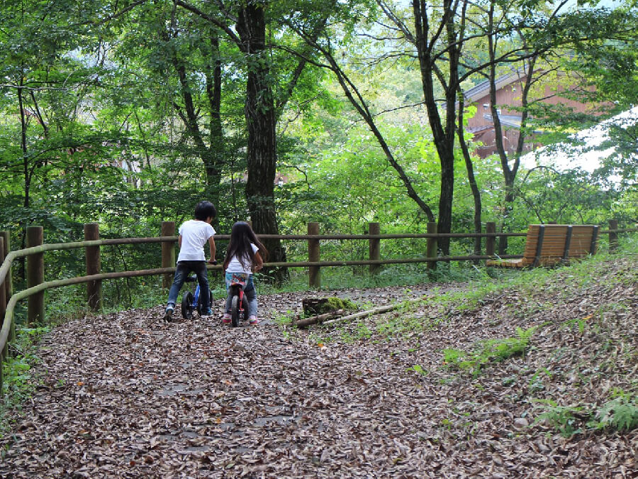 田貫湖,キャンプ場,静岡県