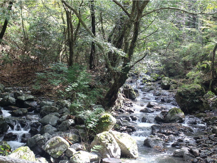 不動の滝自然公園オートキャンプ場,静岡県,キャンプ場