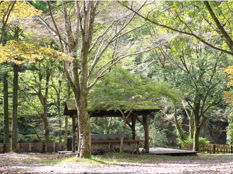 不動の滝自然公園オートキャンプ場,静岡県,キャンプ場