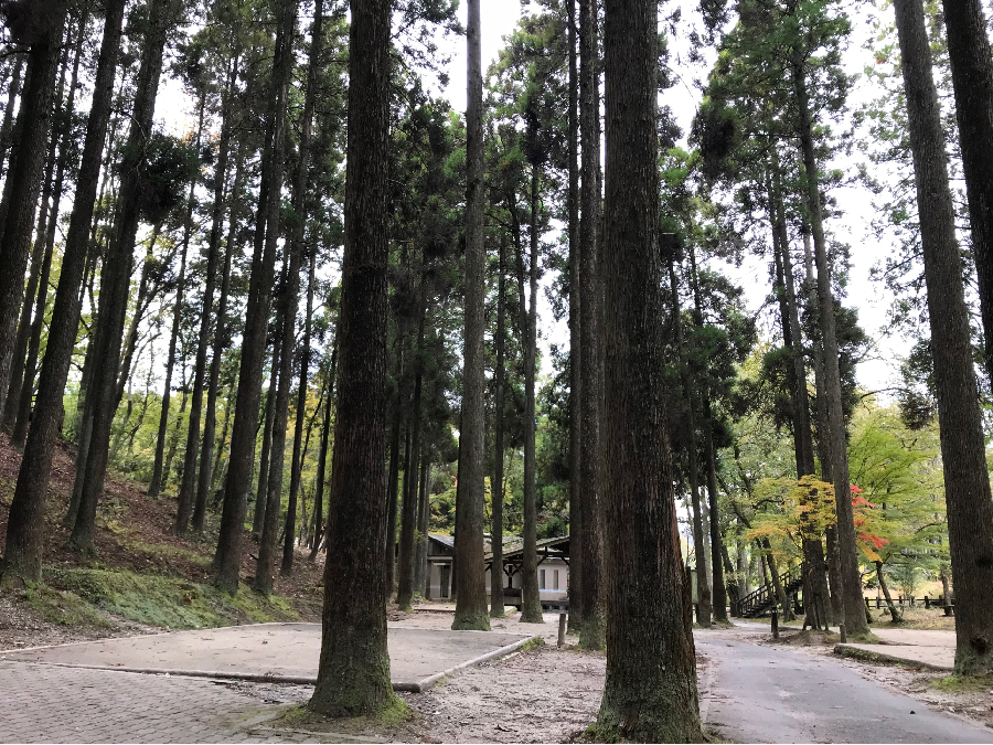 佐賀県,キャンプ場,北山キャンプ場