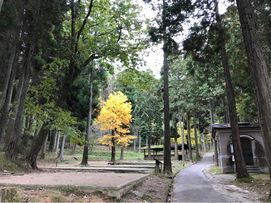 佐賀県,キャンプ場,北山キャンプ場