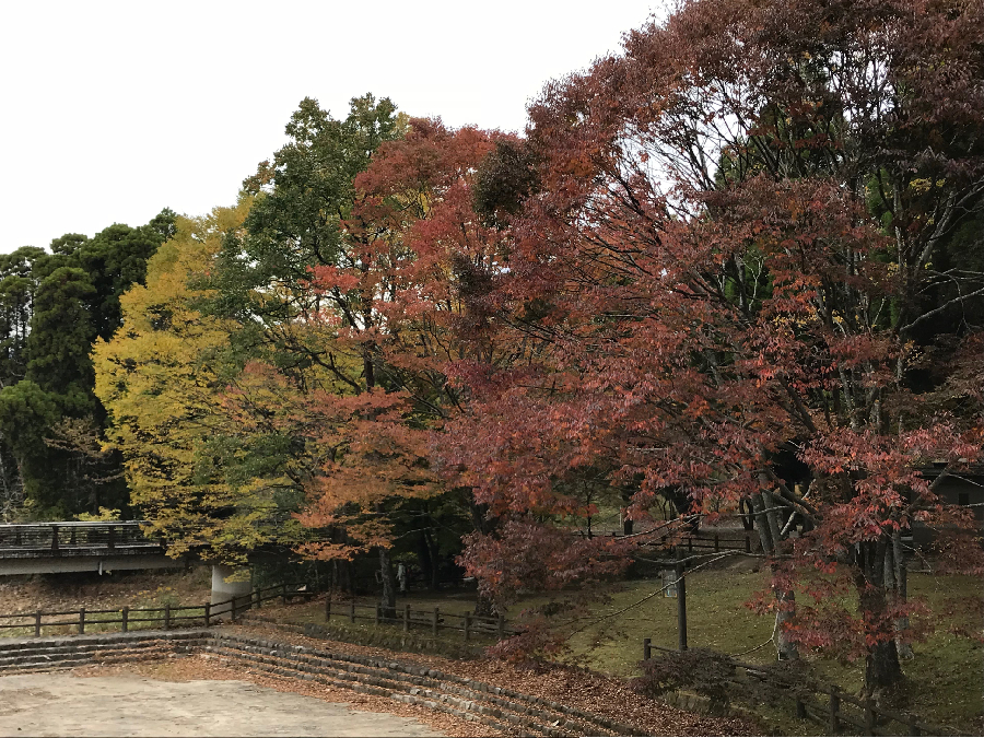 佐賀県,キャンプ場,北山キャンプ場