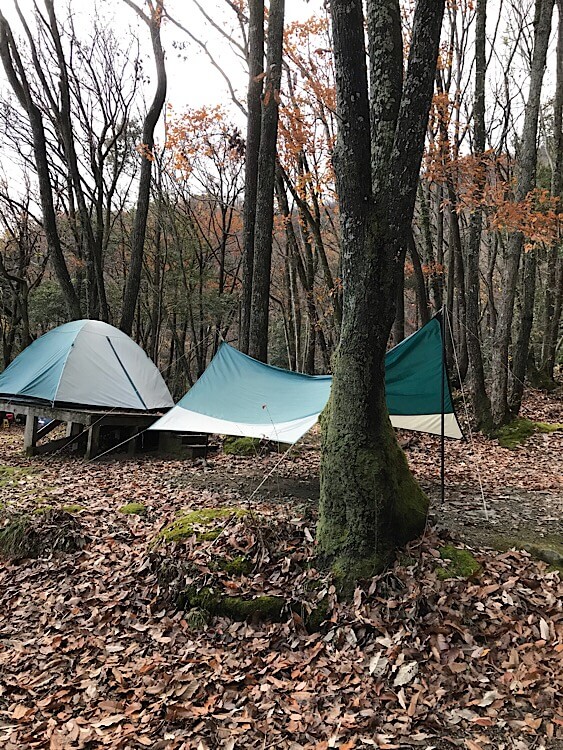 奥琵琶湖キャンプ場,滋賀県,キャンプ場,キャンプ