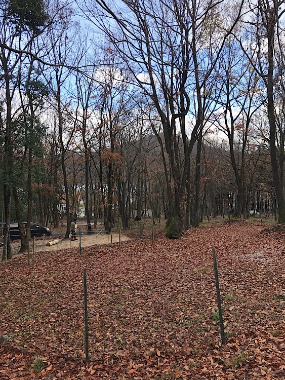 奥琵琶湖キャンプ場,滋賀県,キャンプ場,キャンプ