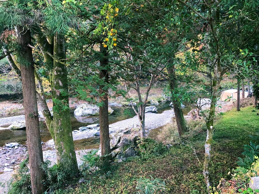 cazuキャンプ場,キャンプ,埼玉県