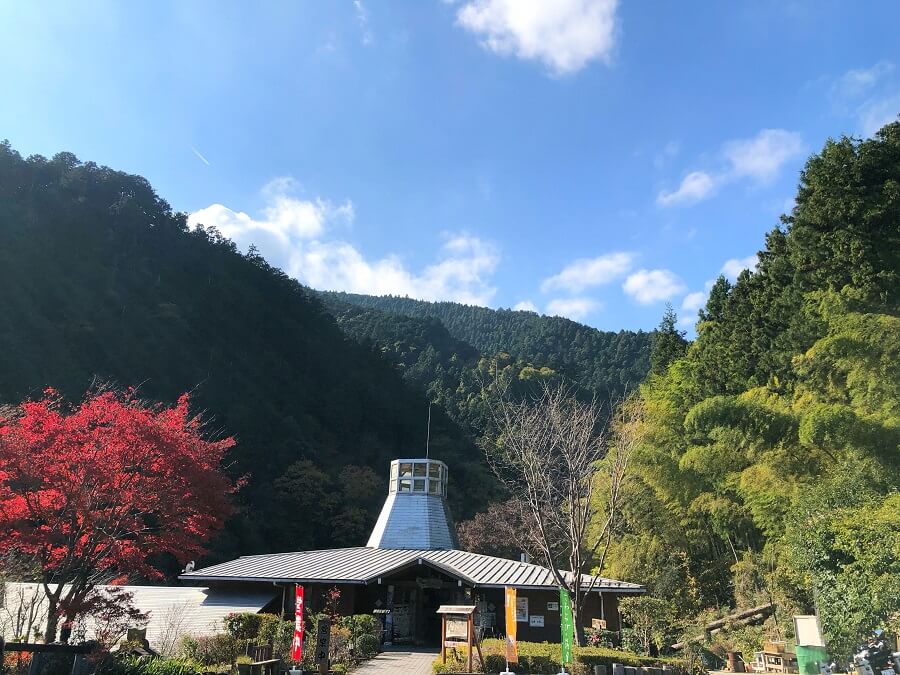 cazuキャンプ場,キャンプ,埼玉県
