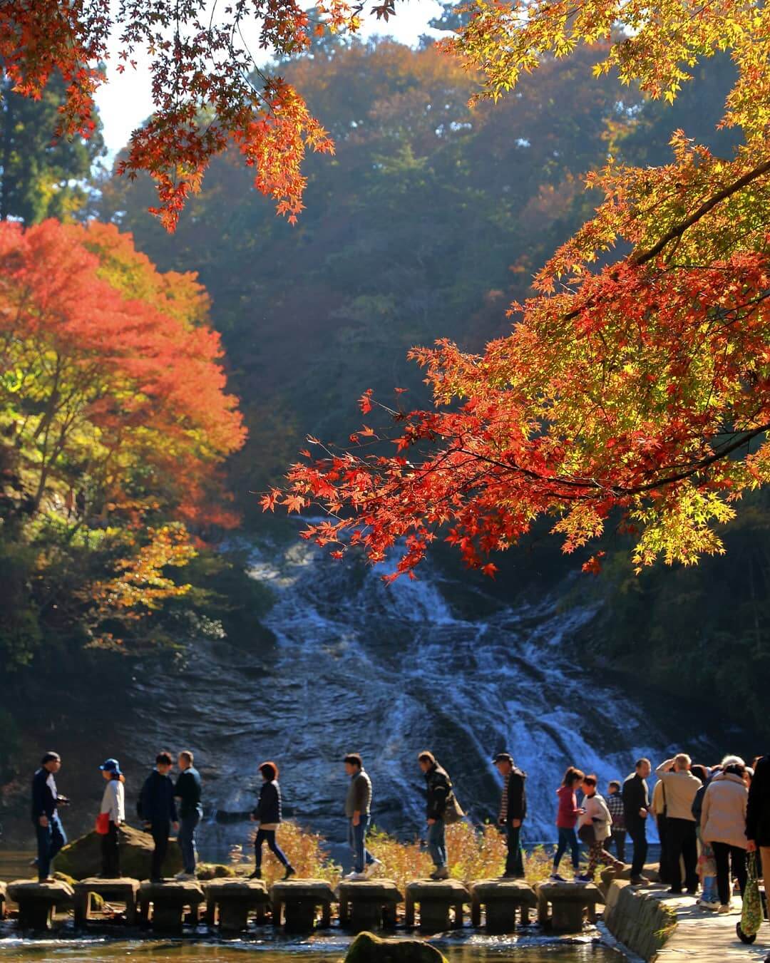 粟又の滝,養老渓谷