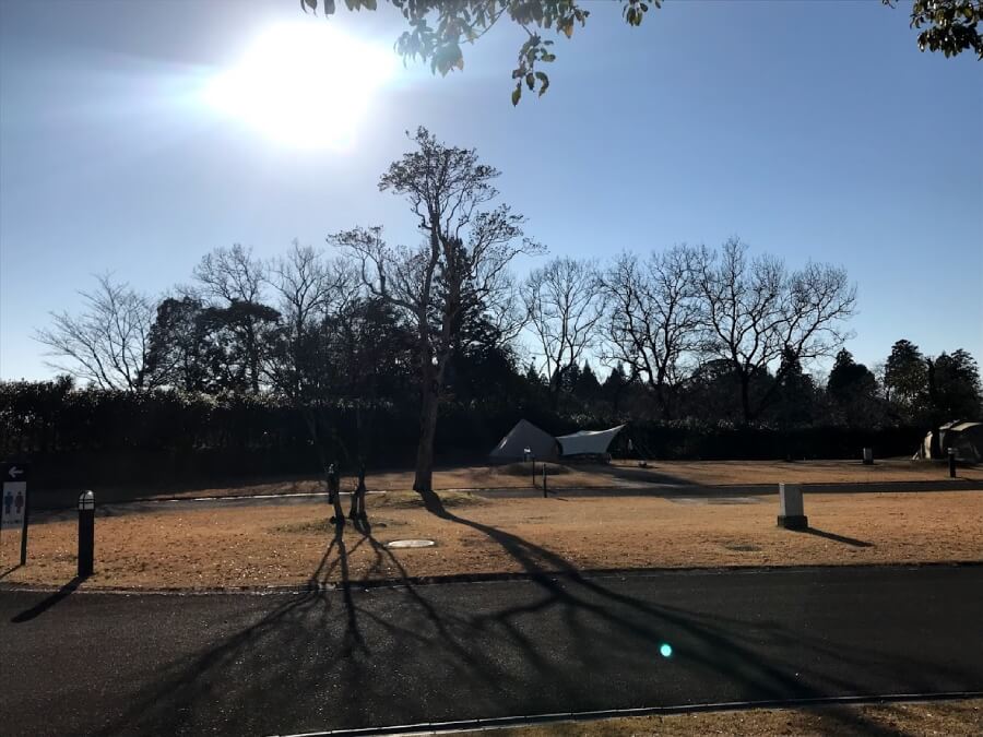 観音さくらの里,観音池公園キャンプ場,宮崎