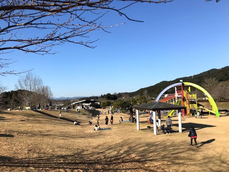 観音さくらの里,観音池公園キャンプ場,宮崎