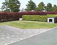 竜洋海洋公園キャンプ場　区画サイト