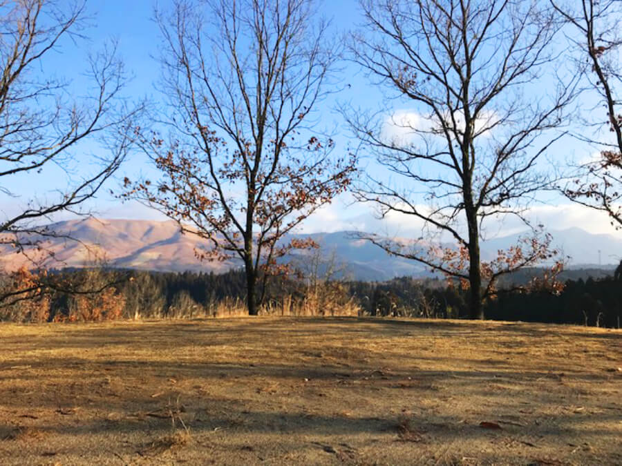 蔵迫温泉さくら,温泉,蔵迫温泉貸別荘さくら