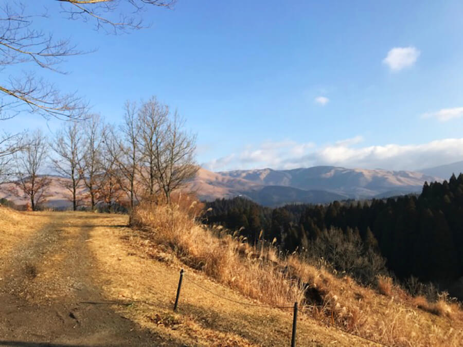 蔵迫温泉さくら,温泉,蔵迫温泉貸別荘さくら