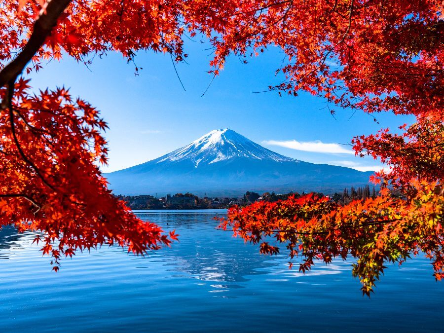 富士山　紅葉