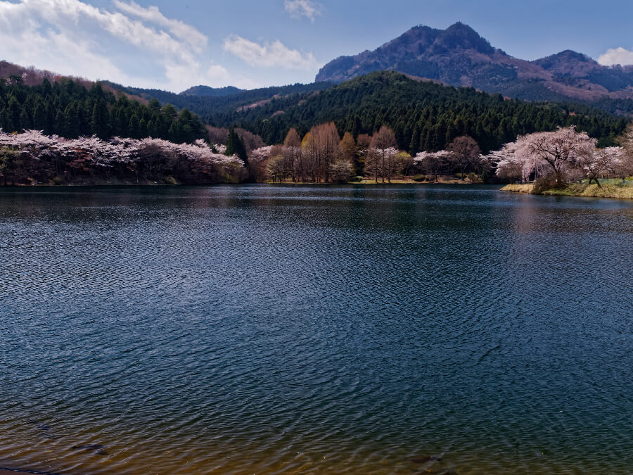 宇都宮森林公園