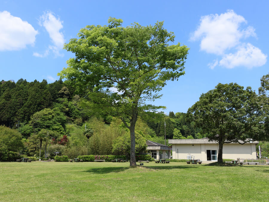 大多喜県民の森キャンプ場