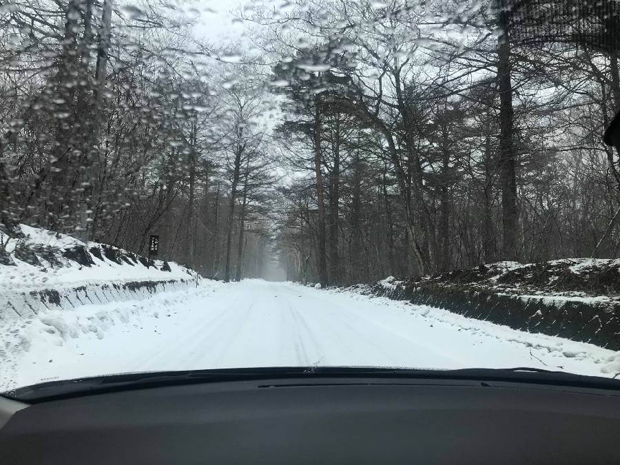 スウィートグラス　北軽井沢