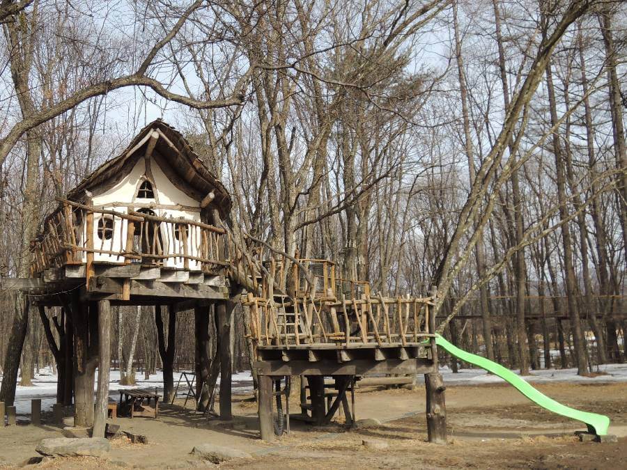 スウィートグラス 北軽井沢