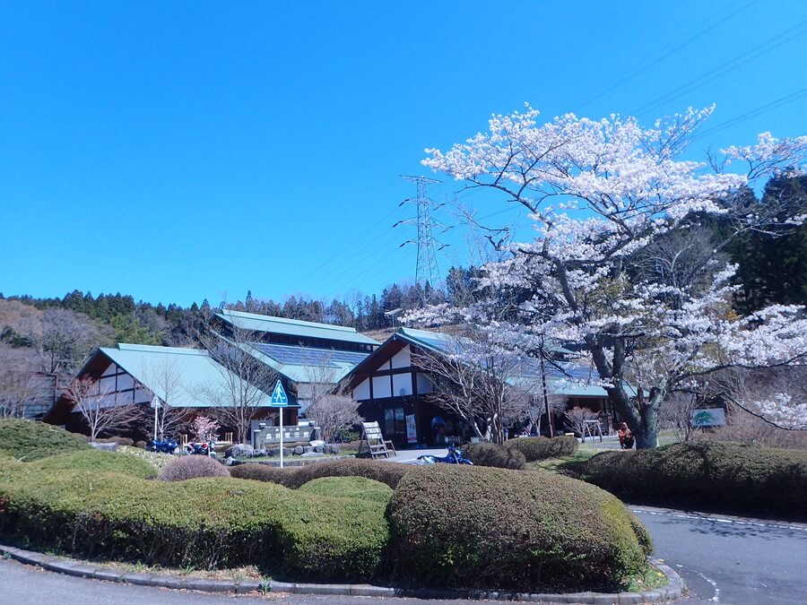 県民の森キャンプ場,栃木県