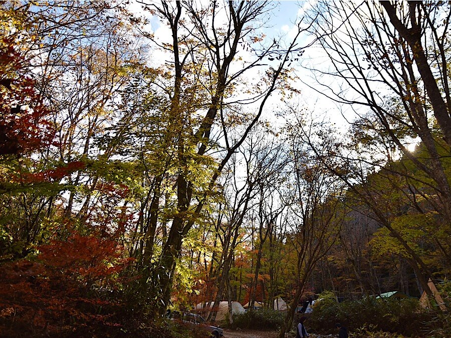 山伏オートキャンプ場,山梨県,オートキャンプ場,道志村