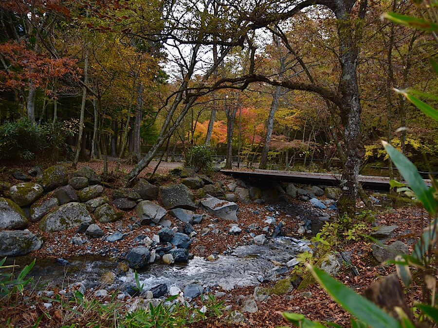 山伏オートキャンプ場,山梨県,オートキャンプ場,道志村