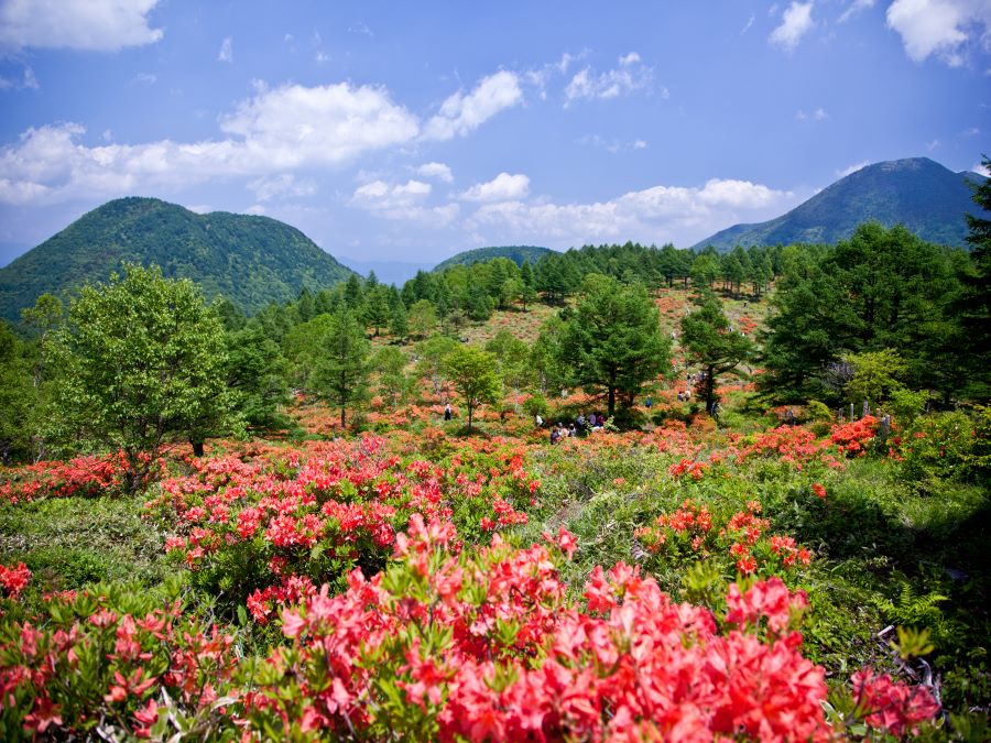 休暇村