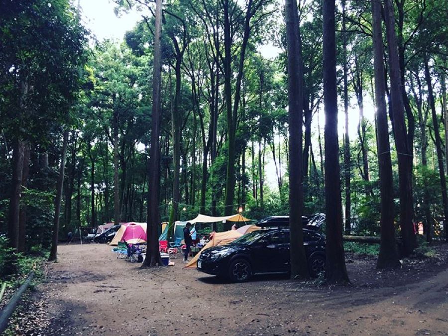 森林　車　テント