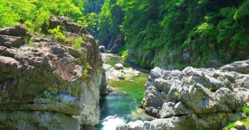 デイキャンプでBBQや料理を楽しもう!関東のおすすめ遊べるデイキャンプ場!