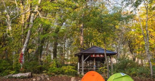 関東のおすすめキャンプ場!無料の穴場から大人気の高規格までご紹介!【前編】