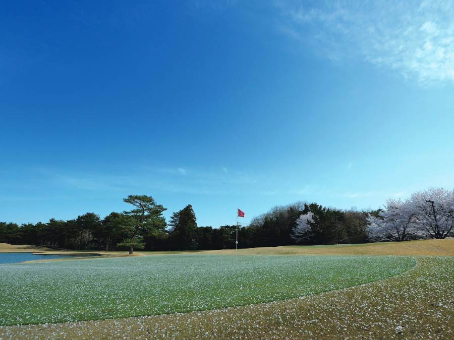 東松山カントリークラブ,取材