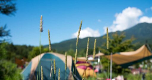 公営キャンプ場を選ぶ際の5つのポイント