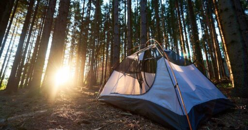 関東地方|夏でも涼しい!標高が高いおすすめのキャンプ場