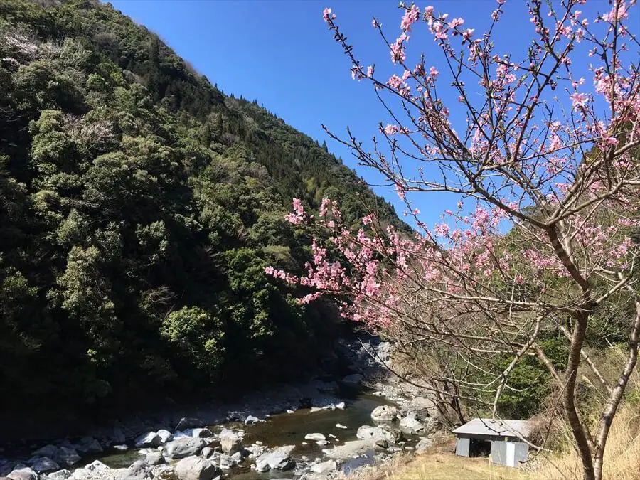 ヤマメの里 宮崎県椎葉村釣行でフィッシング Takibi タキビ キャンプ アウトドアの総合情報サイト