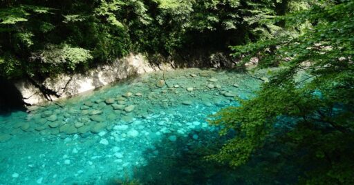 【初心者必見】ここにいけば間違いない!関東の大人気キャンプ場【後編】