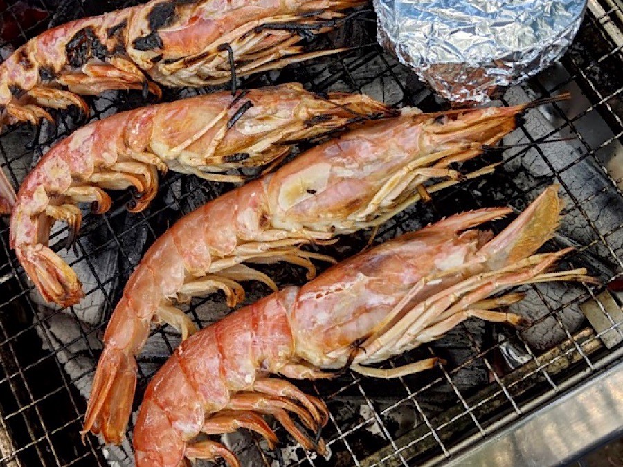 q バーベキューで失敗しない 魚介類の食べ方 焼き方 捌き さばき 方 海老 鮎 イカ ホッキ貝編 ーそとごはんー Takibi タキビ キャンプ アウトドアの総合情報サイト